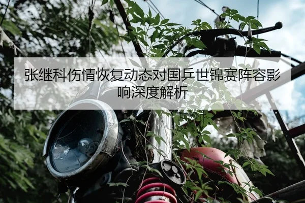 张继科伤情恢复动态对国乒世锦赛阵容影响深度解析